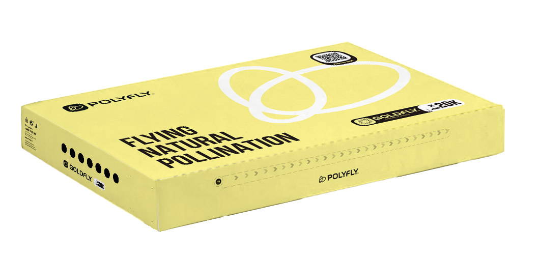 Polyfly XL box with 20,000 hoverfly pupae