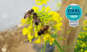 Polyfly wins the SIVAL Silver Medal 2026 for pollination