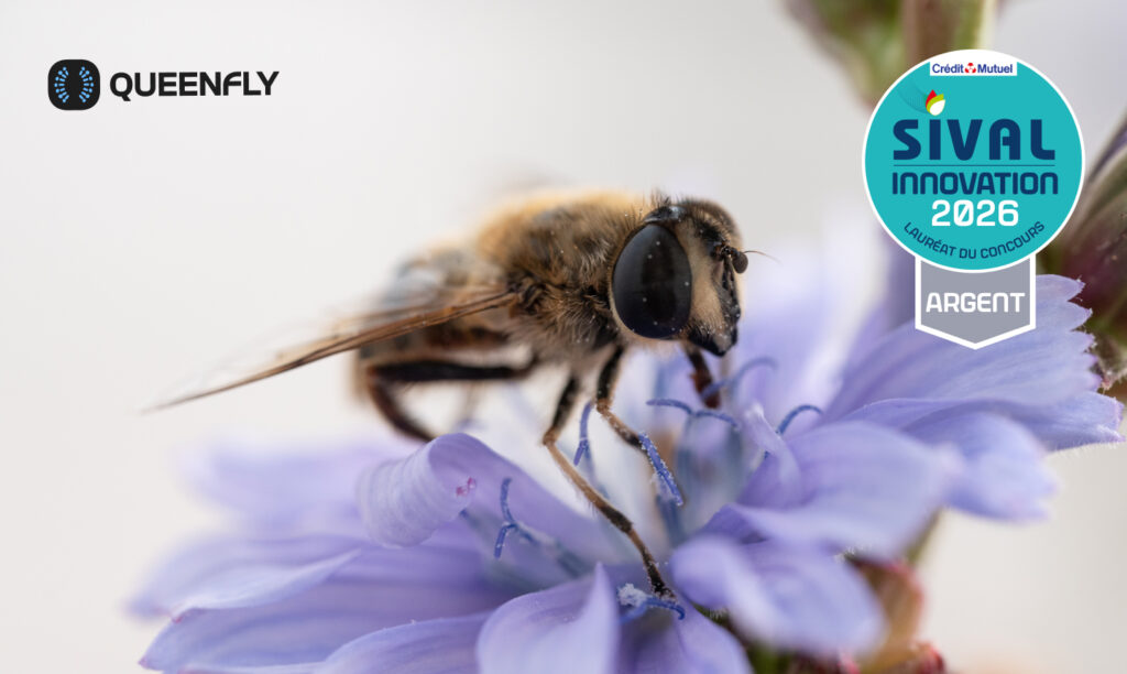 Queenfly-Polyfly-Sival-Innovation-2026