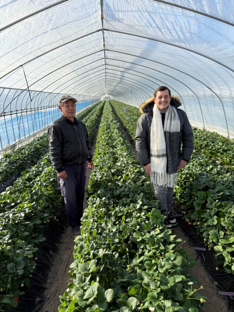 japan-gifu-polylfy-queenlfy_2