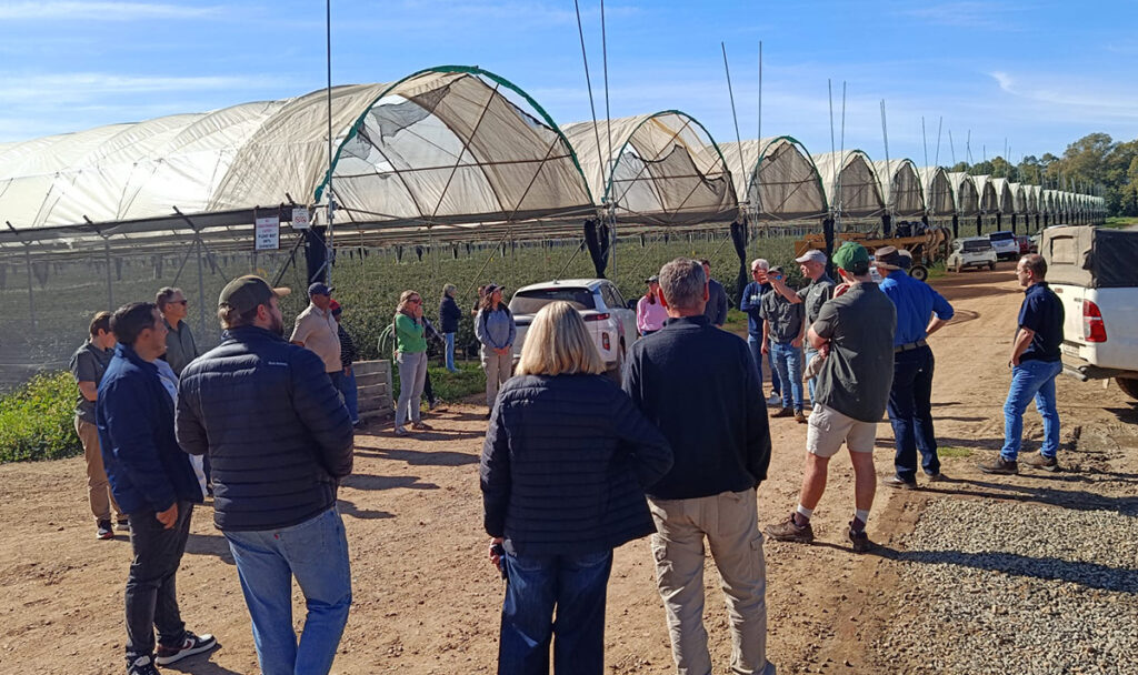 Polyfly in South Africa: consolidating our presence in one of the company’s key strategic markets
