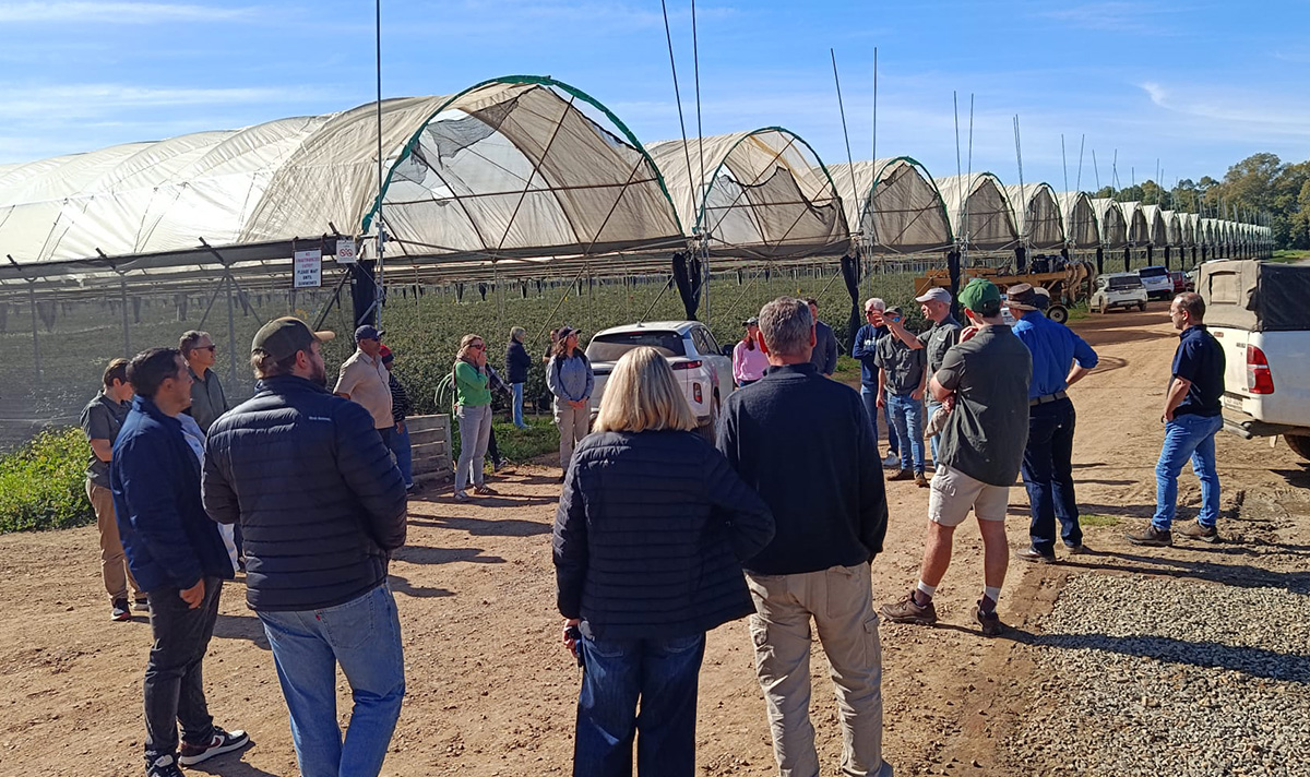 Polyfly in South Africa: consolidating our presence in one of the company’s key strategic markets
