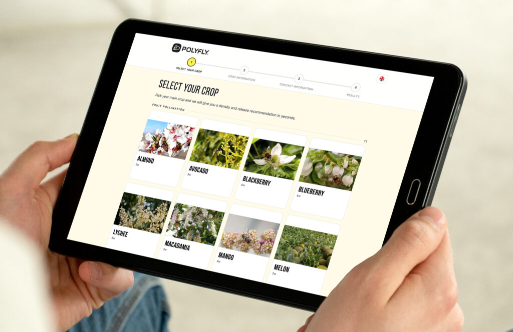calculator-pollination-polyfly